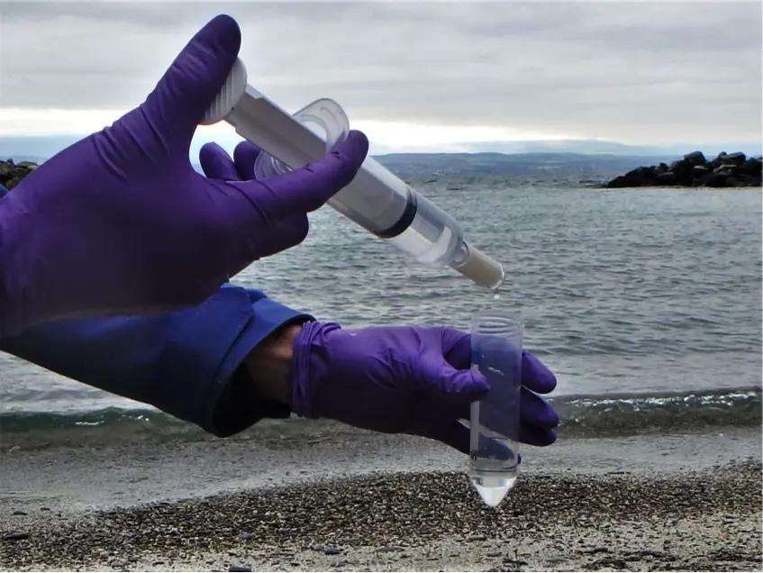 La santé d'un lac se lit désormais dans un flacon d'eau
