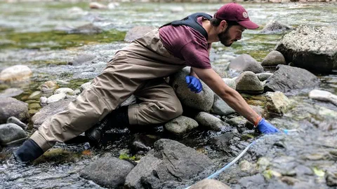 La santé d'un lac se lit désormais dans un flacon d'eau