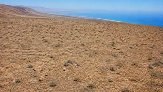 Dans le désert le plus sec du monde, des plantes qui ne boivent jamais de pluie