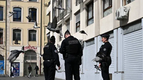 Délinquance 2025 : les violences montent, les vols et les homicides non
