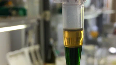 Dans l'ADN de chaque humain, la trace d'une réunion vieille de 300 000 ans