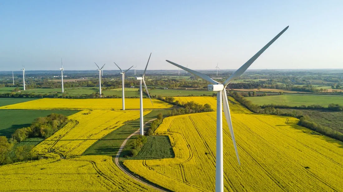 Éolien : une opposition minoritaire, très organisée, au financement opaque