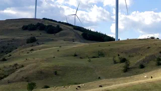 Éoliennes : une opposition très organisée, un financement opaque