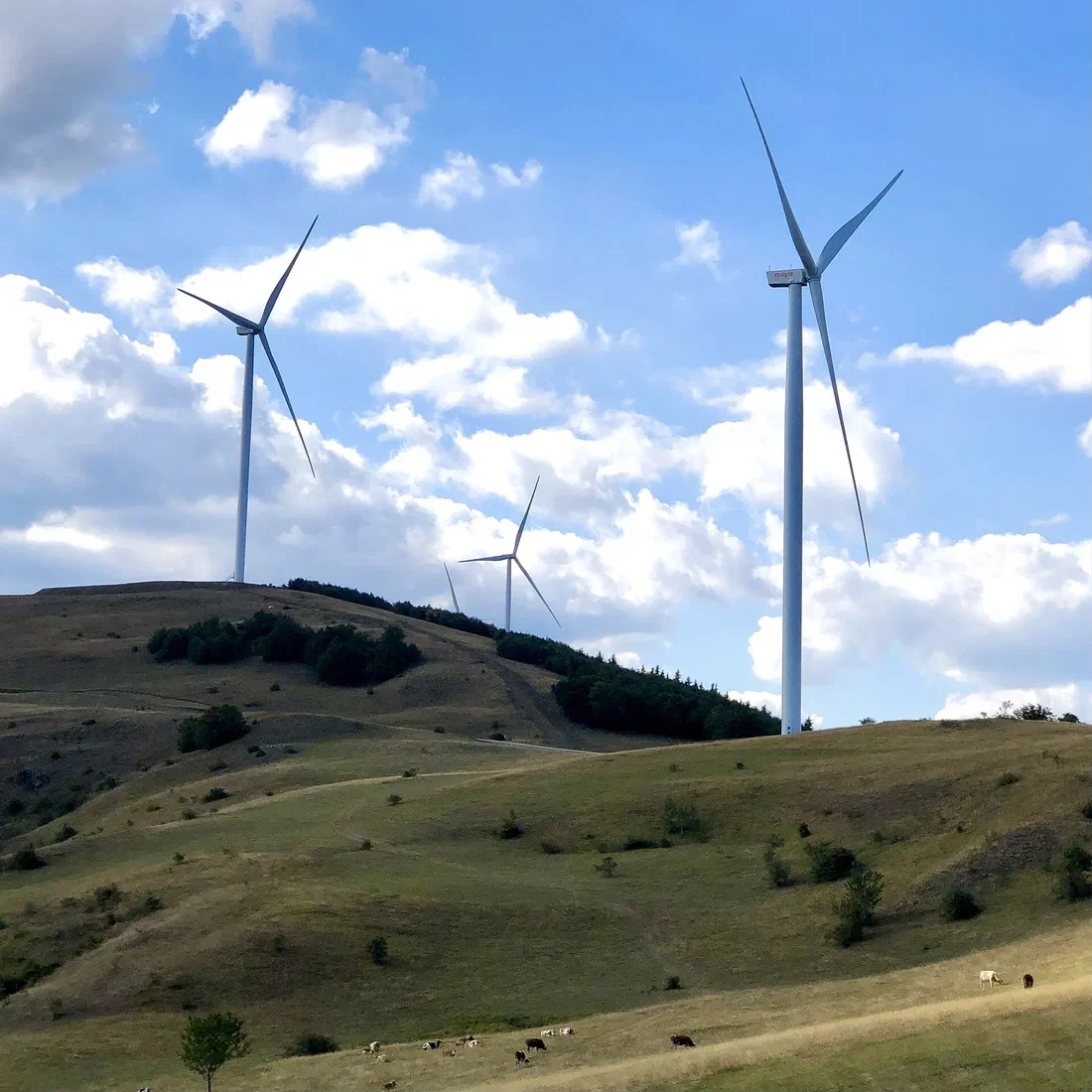 Éoliennes : une opposition très organisée, un financement opaque
