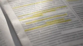« Mis en cause », « fiché », étranger : ce que disent les textes et les chiffres