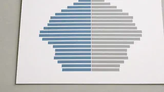 « Grand remplacement » : d'un livre de 2011 au gouvernement, ce que mesure l'INSEE