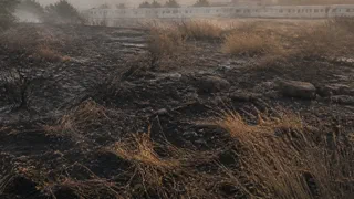 Nantes : un feu de sécheresse a ravagé un bidonville présenté comme le plus grand de France métropolitaine