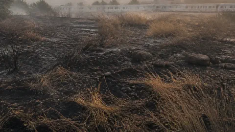 Nantes : un feu de sécheresse a ravagé un bidonville présenté comme le plus grand de France métropolitaine