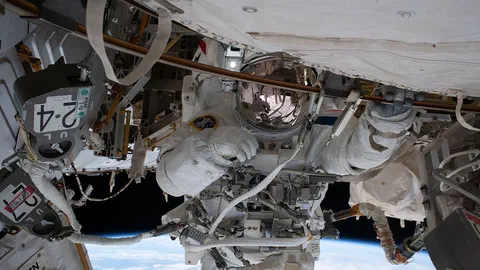 Sept mois dans l'espace : ce que l'astronaute française Sophie Adenot a accompli là-haut