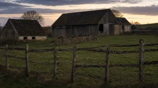 Suicide agricole : une souffrance mesurée, un lien aux pesticides non établi