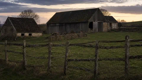 Suicide agricole : une souffrance mesurée, un lien aux pesticides non établi