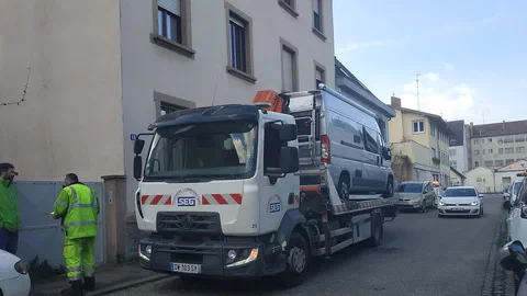 Fourrière : les tarifs montent au 1er octobre, et c'est l'État qui l'a décidé