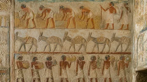 À Saqqara, la tombe d'un juge a gardé ses couleurs depuis 4 300 ans