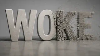 « Woke » : un mot de vigilance noir américain, retourné en insulte