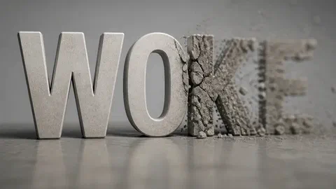 « Woke » : un mot de vigilance noir américain, retourné en insulte